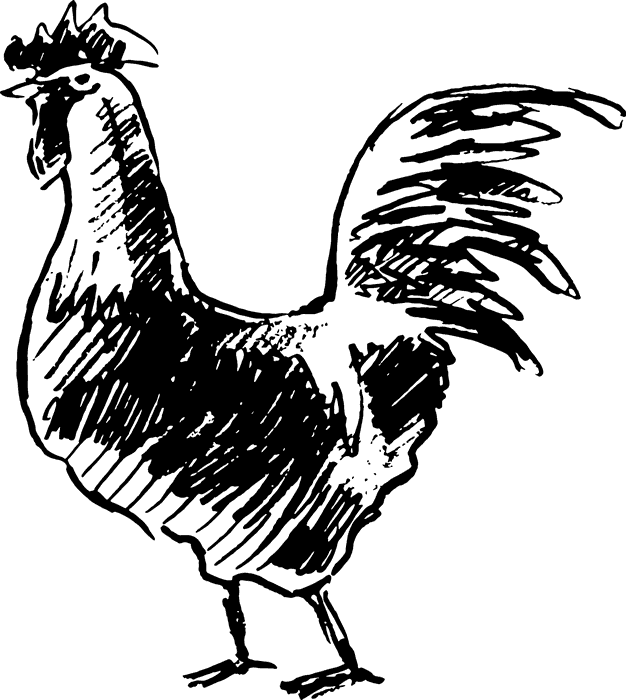 Bachelor Rooster Rubber Stamp - Stamptopia