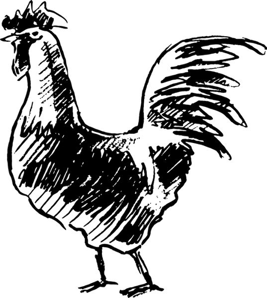 Bachelor Rooster Rubber Stamp - Stamptopia