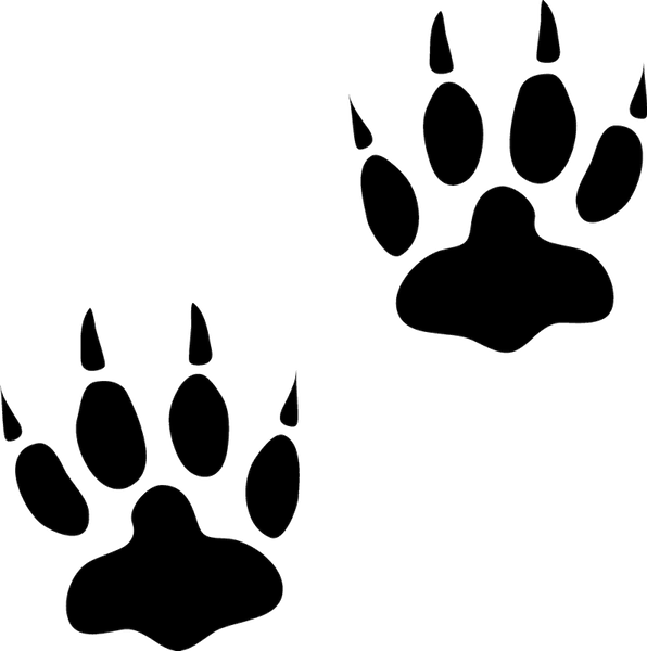 Bear Tracks Rubber Stamp - Stamptopia