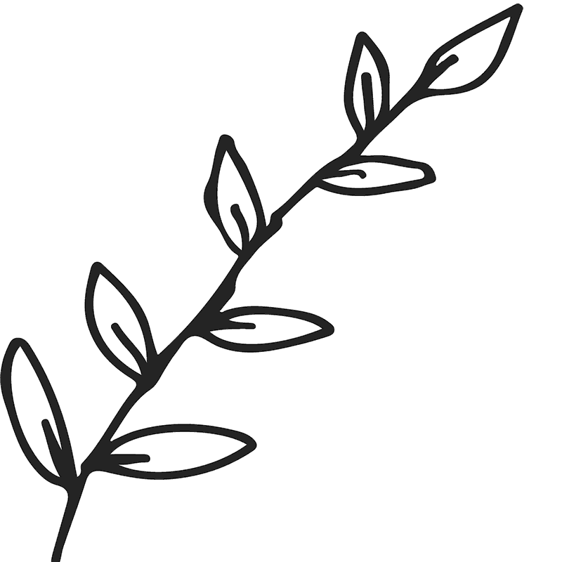Branch With Leaves Outline Rubber Stamp - Stamptopia