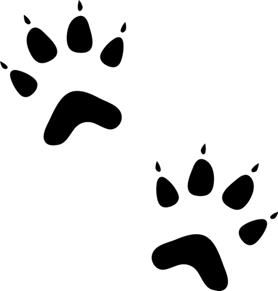 Cat Paw Prints Rubber Stamp - Stamptopia