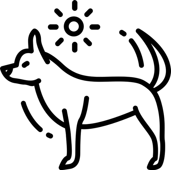 Chihuahua Rubber Stamp (Sketch) - Stamptopia