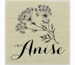 Custom Anise Herb Stamp - 1.5" X 1.5" - Stamptopia