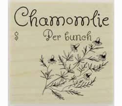 Custom Chamomlie Herb Stamp - 1.5" X 1.5" - Stamptopia
