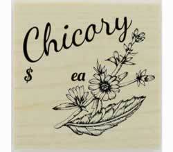Custom Chicory Herb Stamp - 1.5" X 1.5" - Stamptopia