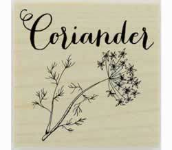 Custom Coriander Herb Stamp - 1.5" X 1.5" - Stamptopia