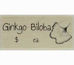 Custom Ginkgo Biloba Herb Design Stamp - 2" X 1" - Stamptopia