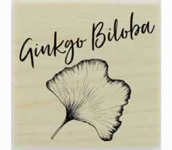 Custom Ginkgo Biloba Herb Stamp - 1.5" X 1.5" - Stamptopia