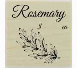Custom Rosemary Herb Stamp - 1.5" X 1.5" - Stamptopia