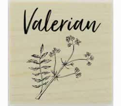 Custom Valerian Herb Stamp - 1.5" X 1.5" - Stamptopia