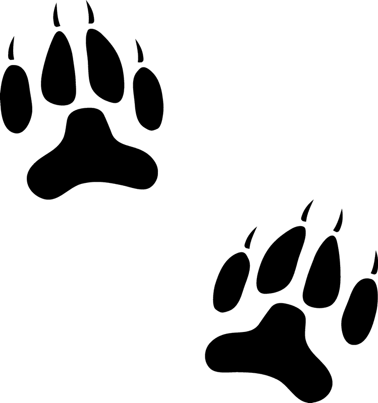 Dog Paw Prints Stamp - Stamptopia