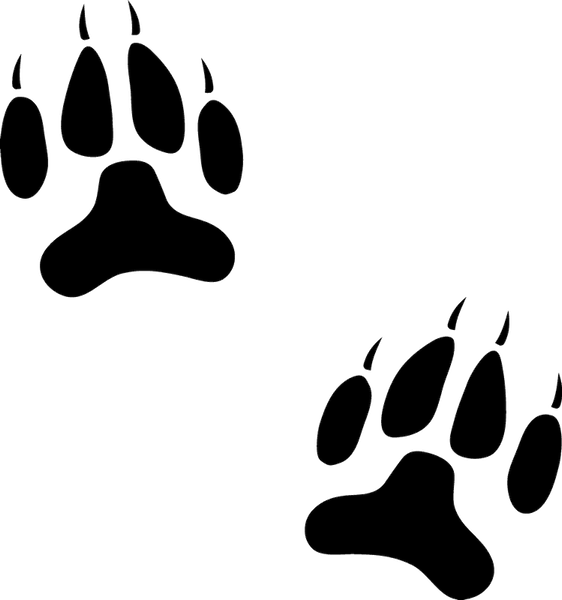 Dog Paw Prints Stamp - Stamptopia