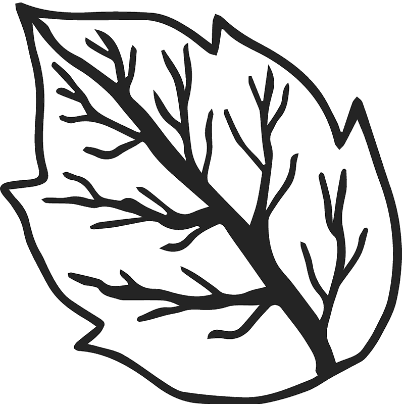 Elm Leaf Rubber Stamp - Stamptopia