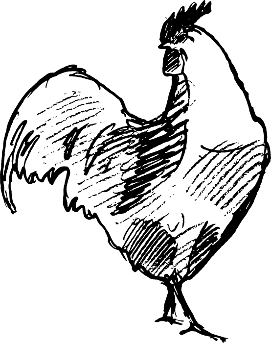 Handsome Rooster Rubber Stamp - Stamptopia