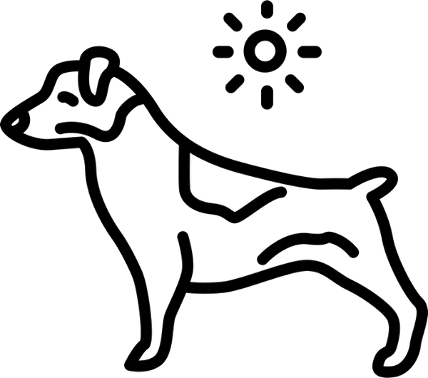 Jack Russell Terrier (Sketch) - Stamptopia