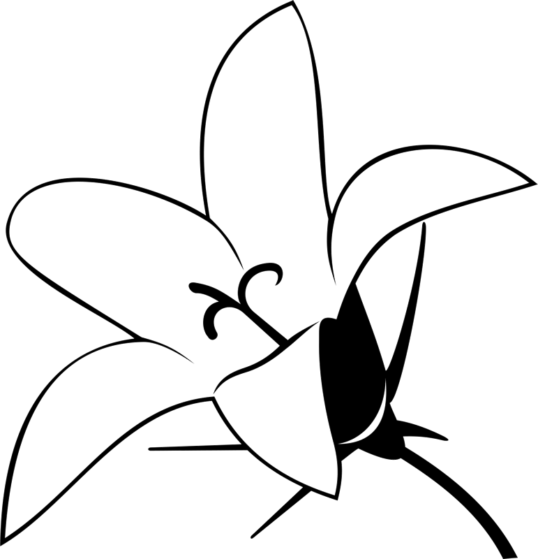 Lily Outline Rubber Stamp - Stamptopia