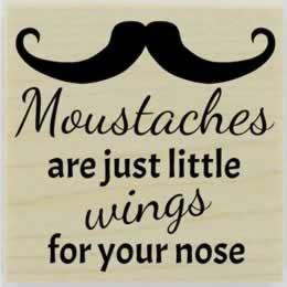 Moustaches Are Just Little Wings Stamp - 2" X 2" - Stamptopia