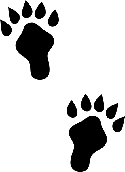 Otter Tracks Rubber Stamp - Stamptopia
