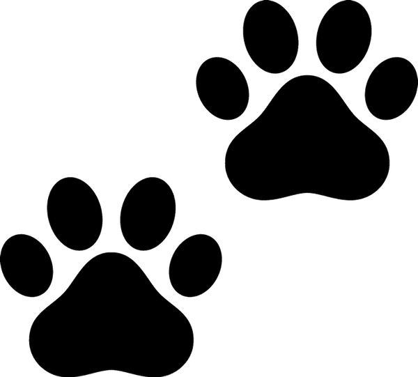 Paw Prints Rubber Stamp - Stamptopia
