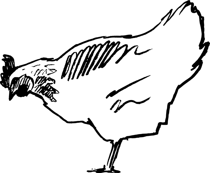 Pecking Chicken Rubber Stamp - Stamptopia