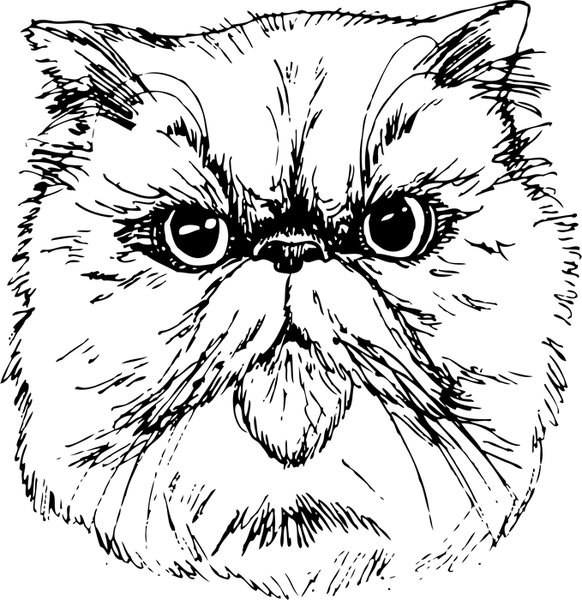 Persian Cat Face (Sketch-Style) - Stamptopia