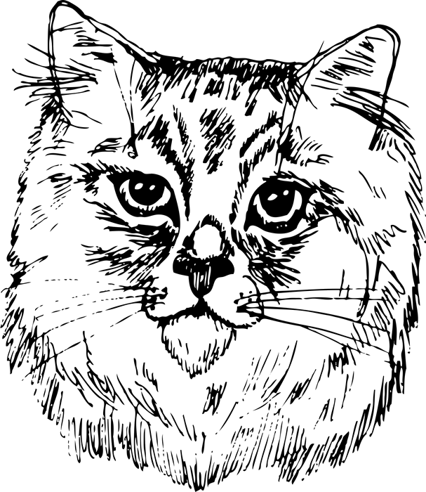 Siberian Cat Face (Sketch-Style) - Stamptopia