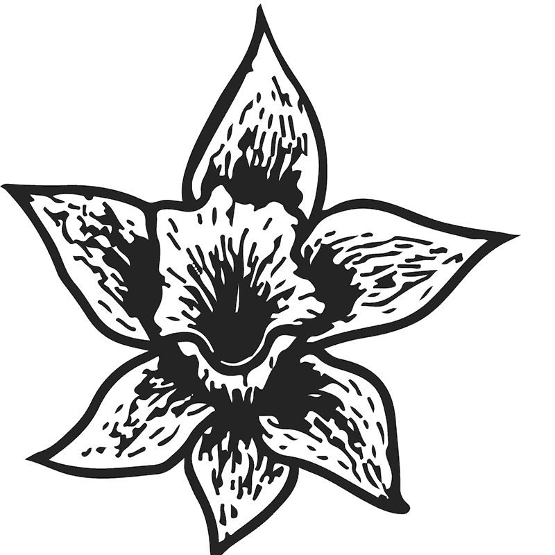 Sketched Daffodil Rubber Stamp - Stamptopia