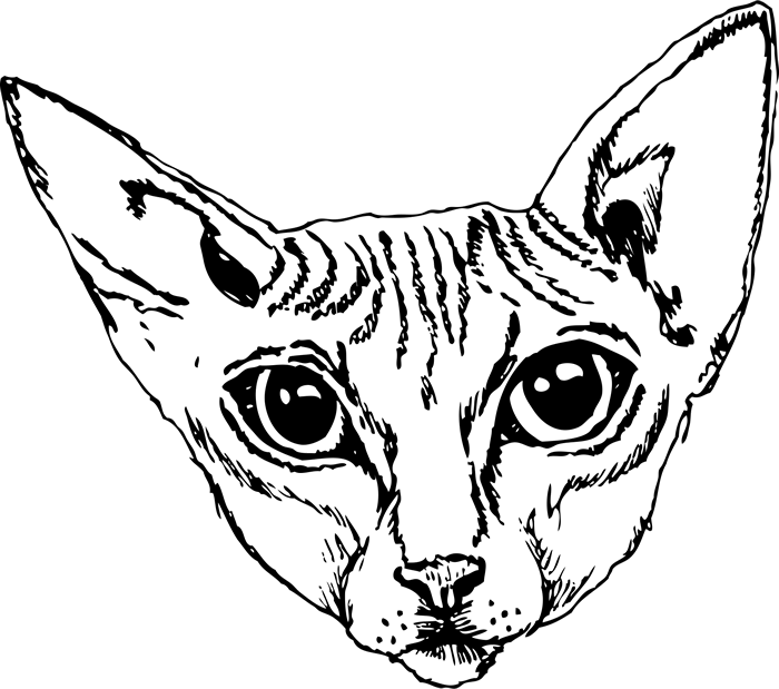 Sphynx Cat Face (Sketch-Style) - Stamptopia