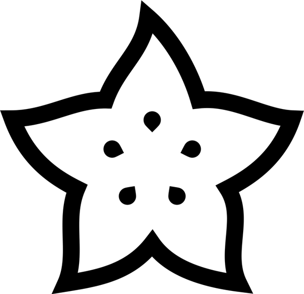 Star Fruit Outline Rubber Stamp - Stamptopia