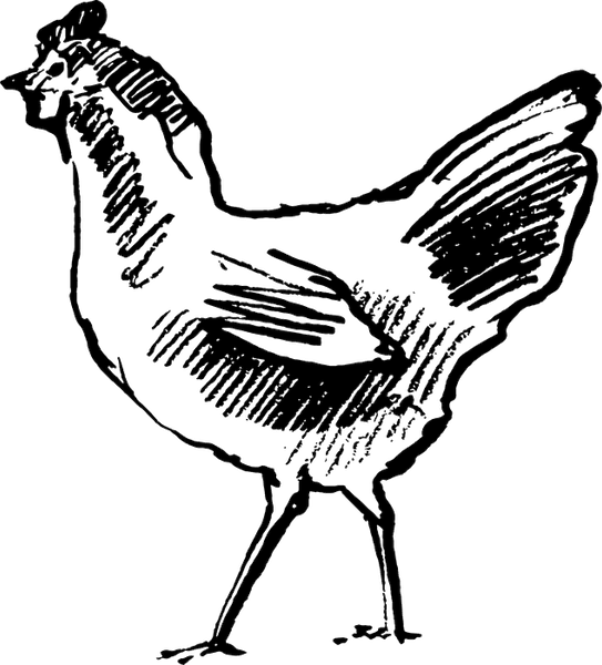 Strutting Chicken Rubber Stamp - Stamptopia